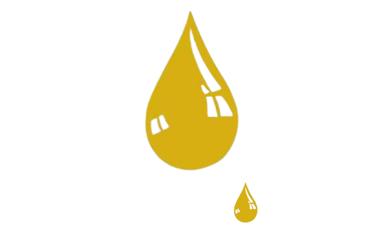 Sociedad Cooperativa Santa Mónica S.C.A.