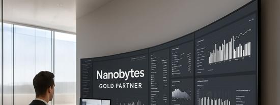 Nanobytes · Odoo Gold Partner