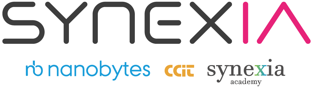 Equipo de Nanobytes, Odoo Gold Partner del grupo SynexIA · Premio Ave Fénix, otorgado por Odoo al partner que más proyectos ha rescatado